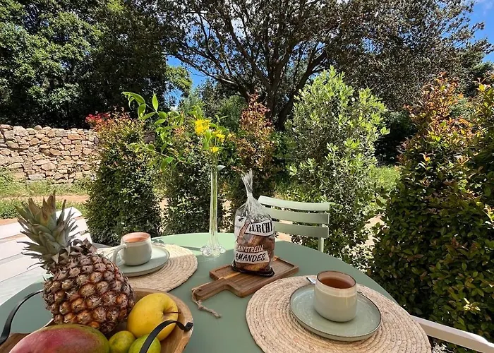 Rez-de-villa Avec Terrasse Privative Sur Jardin Ajaccio (Corsica)
